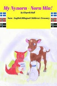 bokomslag My Nynorn - Norn Min!