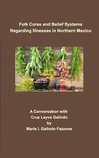 bokomslag Folk Cures and Belief Systems Regarding Illnesses in Northern Mexico