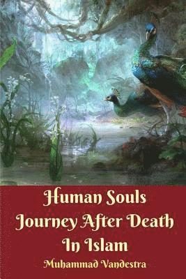 bokomslag Human Souls Journey After Death In Islam