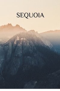bokomslag Sequoia