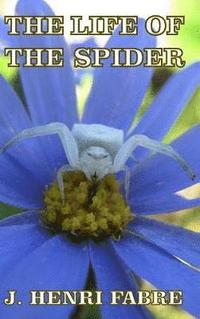 bokomslag The Life of the Spider