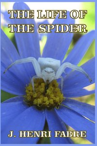 bokomslag The Life of the Spider