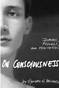 bokomslag On Consciousness