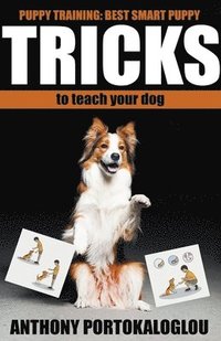 bokomslag Dog Tricks