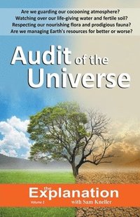 bokomslag Audit of the Universe