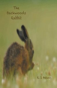 bokomslag Backwoods Rabbit