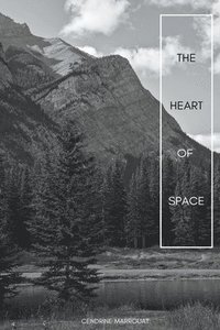 bokomslag The Heart of Space