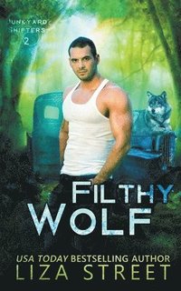 bokomslag Filthy Wolf