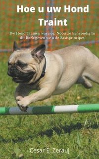 bokomslag Hoe u uw Hond Traint Uw Hond Trainen was nog Nooit zo Eenvoudig In dit Boek geven we u de Basisprincipes