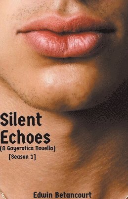 Silent Echoes: Season 1 (A Gayerotica Novella) 1