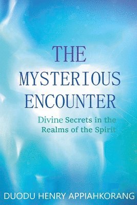 The Mysterious Encounter 1