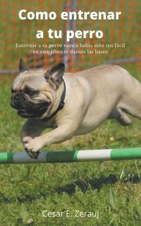 bokomslag Como entrenar a tu perro Entrenar a tu perro nunca haba sido tan fcil en este libro te damos las bases