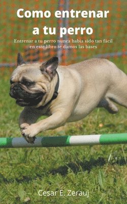 Como entrenar a tu perro Entrenar a tu perro nunca haba sido tan fcil en este libro te damos las bases 1