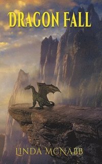 bokomslag Dragon Fall