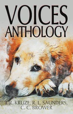 bokomslag Voices Anthology