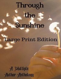 bokomslag Through the Sunshine Large Print