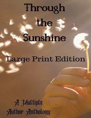 Through the Sunshine Large Print 1