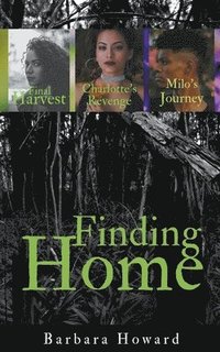 bokomslag Finding Home Mystery Series