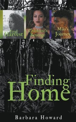 Barbara Howard - Finding Home Mystery Series, Häftad