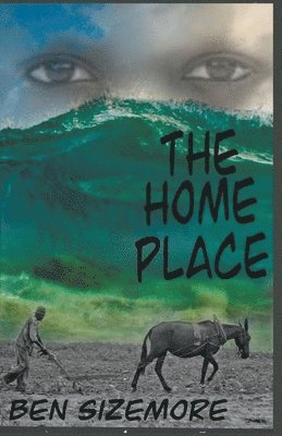 bokomslag Home Place
