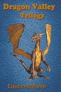bokomslag Dragon Valley Trilogy