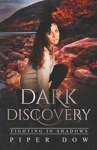 bokomslag Dark Discovery