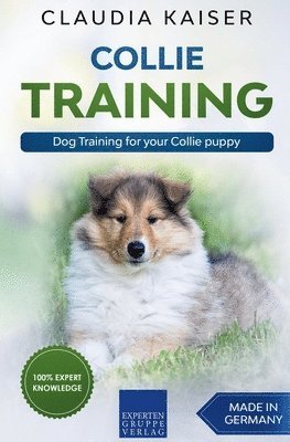 bokomslag Collie Training - Dog Training for your Collie puppy