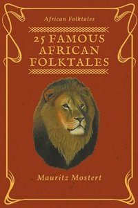 bokomslag 25 Famous African Folktales