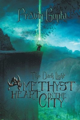 bokomslag The Dark Light: Amethyst Heart in the City