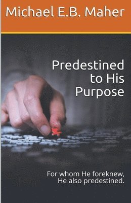 bokomslag Predestined to His Purpose