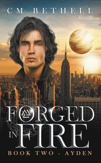 bokomslag Forged In Fire Book Two - Ayden