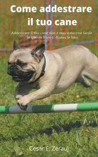 bokomslag Come addestrare il tuo cane Addestrare il tuo cane non  mai stato cos facile in questo libro ti diamo le basi