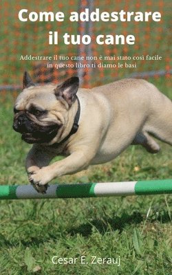 Come addestrare il tuo cane Addestrare il tuo cane non  mai stato cos facile in questo libro ti diamo le basi 1