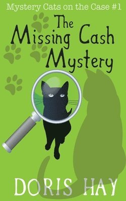 bokomslag The Missing Cash Mystery