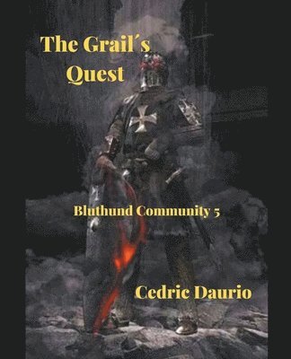 bokomslag Grail¿s Quest