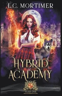bokomslag Hybrid Academy