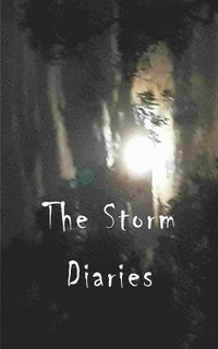 bokomslag The Storm Diaries