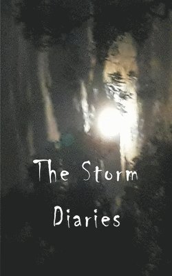 The Storm Diaries 1