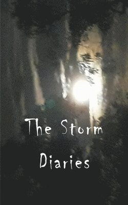 Storm Diaries 1