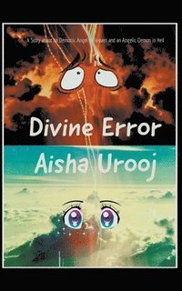 bokomslag Divine Error