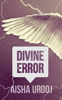 bokomslag Divine Error