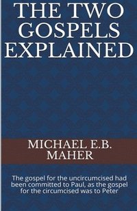 bokomslag Two Gospels Explained
