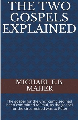 bokomslag Two Gospels Explained