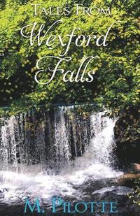 bokomslag Tales From Wexford Falls
