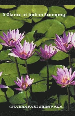 Glance at Indian Economy