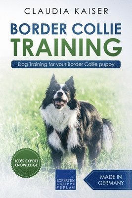 bokomslag Border Collie Training - Dog Training for Your Border Collie Puppy