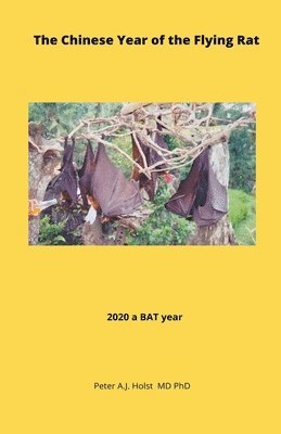 Chinese Year of the Flying Rat