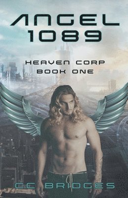 Angel 1089 1