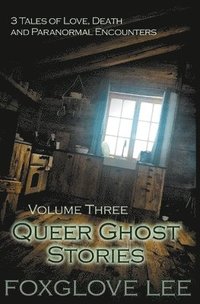 bokomslag Queer Ghost Stories Volume Three