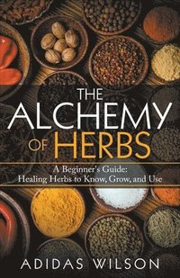 bokomslag The Alchemy of Herbs - A Beginner's Guide